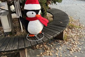 イルミネーション☃️